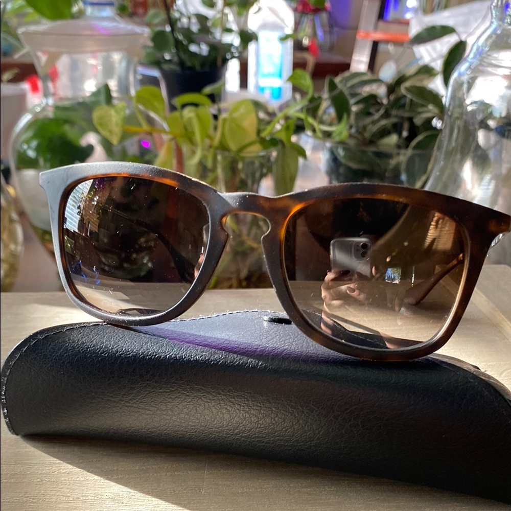 Ray-Ban Erika Chic Tortoiseshell Sunglasses with Black Case